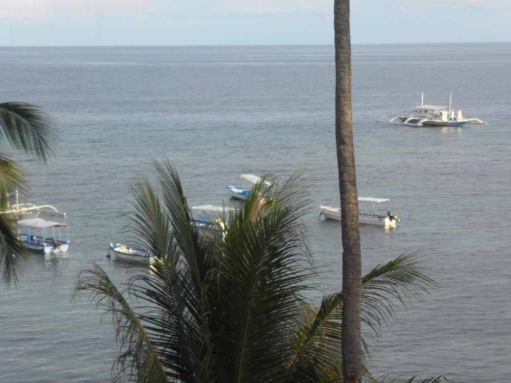 Hayahay Resort Panglao Exterior photo